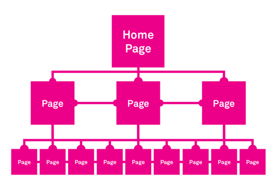 Coexisting-Structure-Website-Information-Architecture-Graphic-1-1024x705
