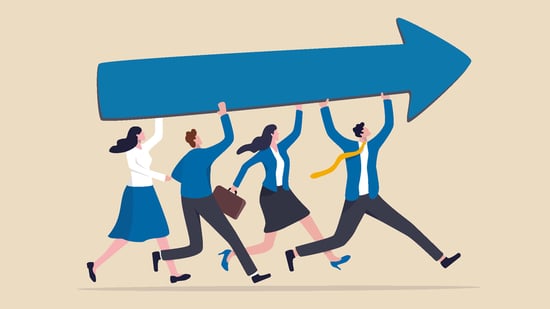 seagull-_800-x-450-c-437354250